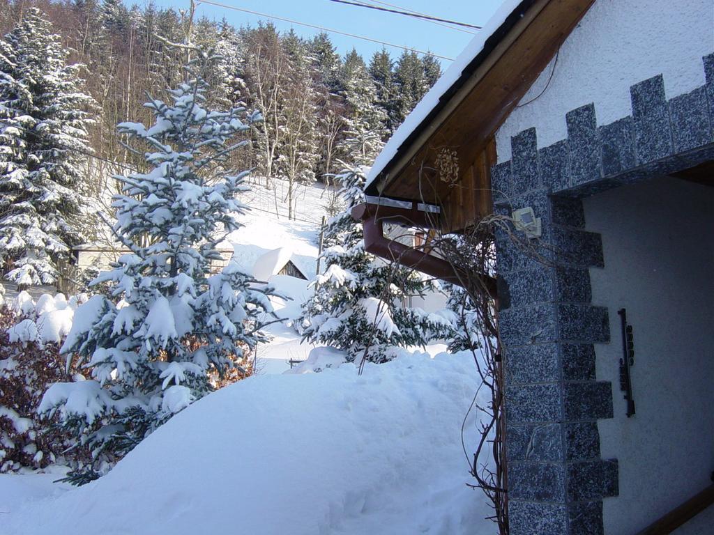 Ferienwohnung Bimmelbahn-Blick Neudorf  Pokój zdjęcie