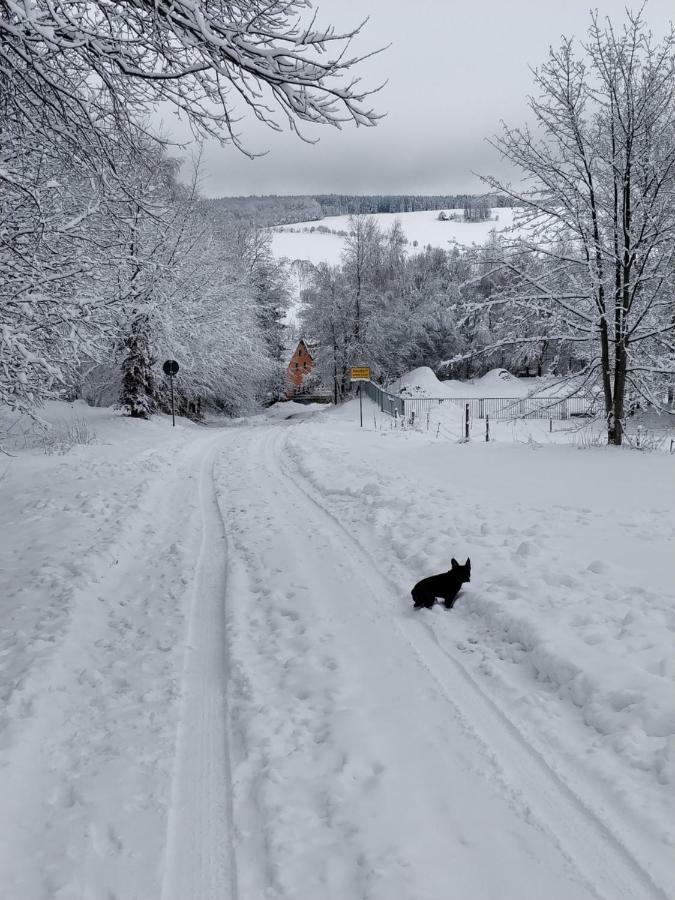 Ferienwohnung Bimmelbahn-Blick Neudorf  Zewnętrze zdjęcie